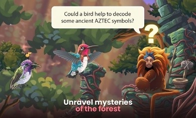 鸟类世界手机正版图3