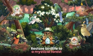 鸟类世界手机正版图2