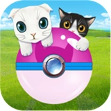 一起来捉猫安卓直装版