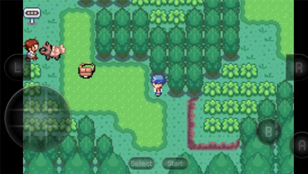 宝可梦洛克王国gba版(2)