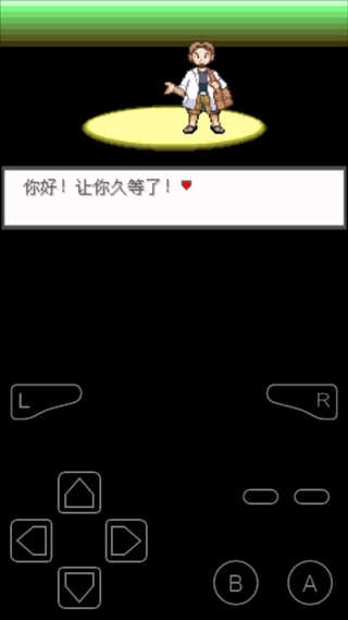 口袋妖怪极光石游戏正版图1