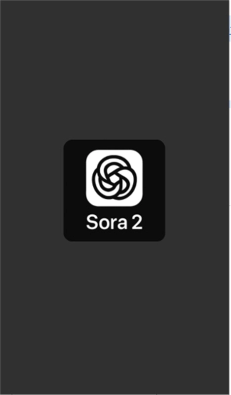 sora2中文版图3