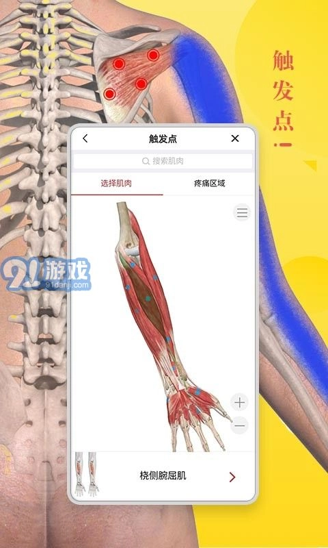 3d人体模型安卓官方版图1