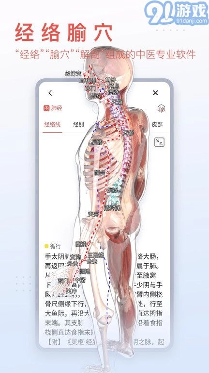 3d人体模型安卓官方版图2