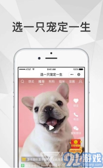 奶宠宠物短视频免费版图2