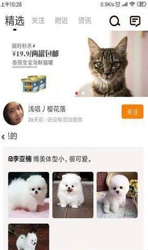 安心宠免费原版图2