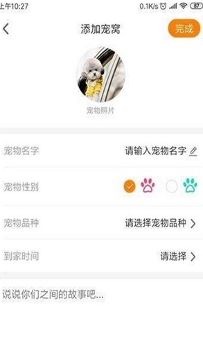 安心宠免费原版图3