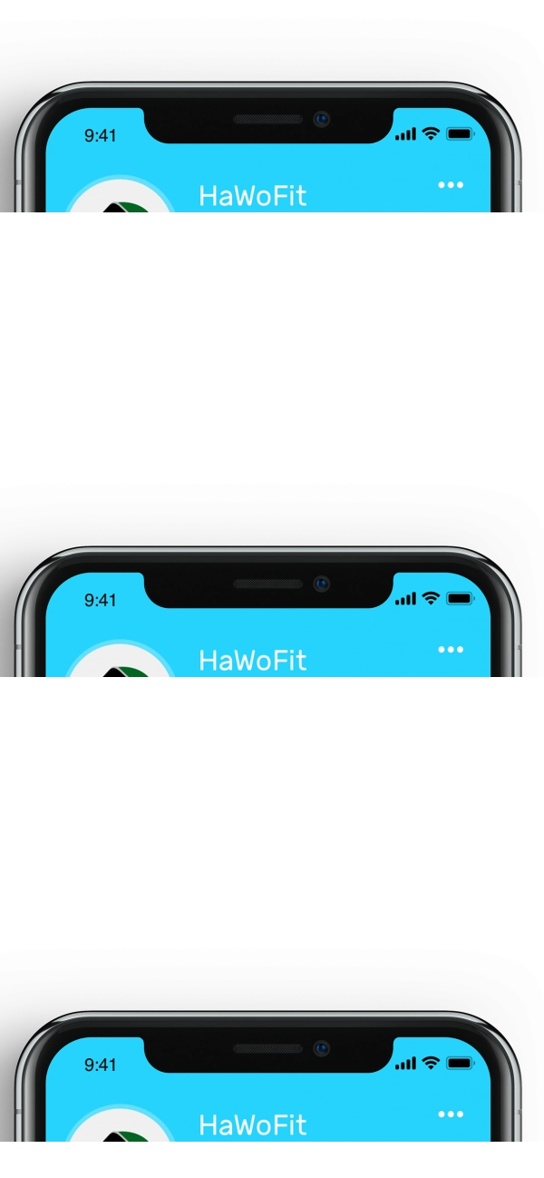 HaWoFit原版图5