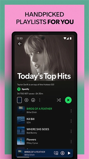 Spotify原版