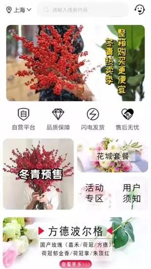 宋宇花城直装版图4