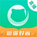 聪猫正版