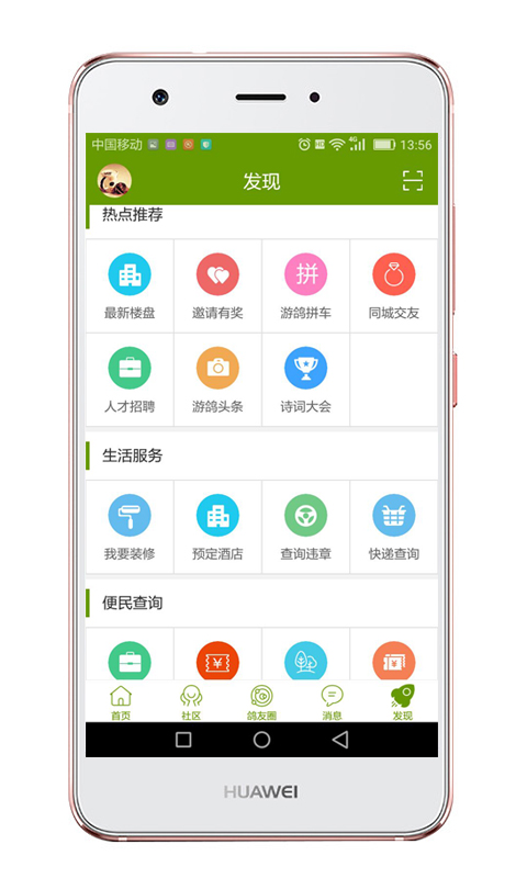 游鸽网手机最新版图3