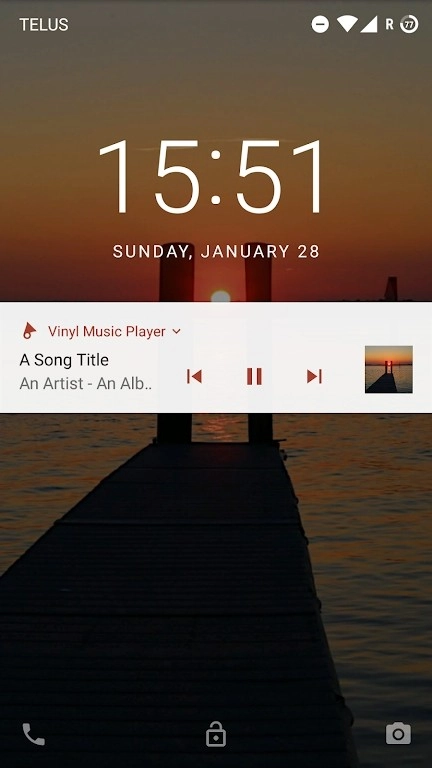 Vinyl Music Player无广告版图3