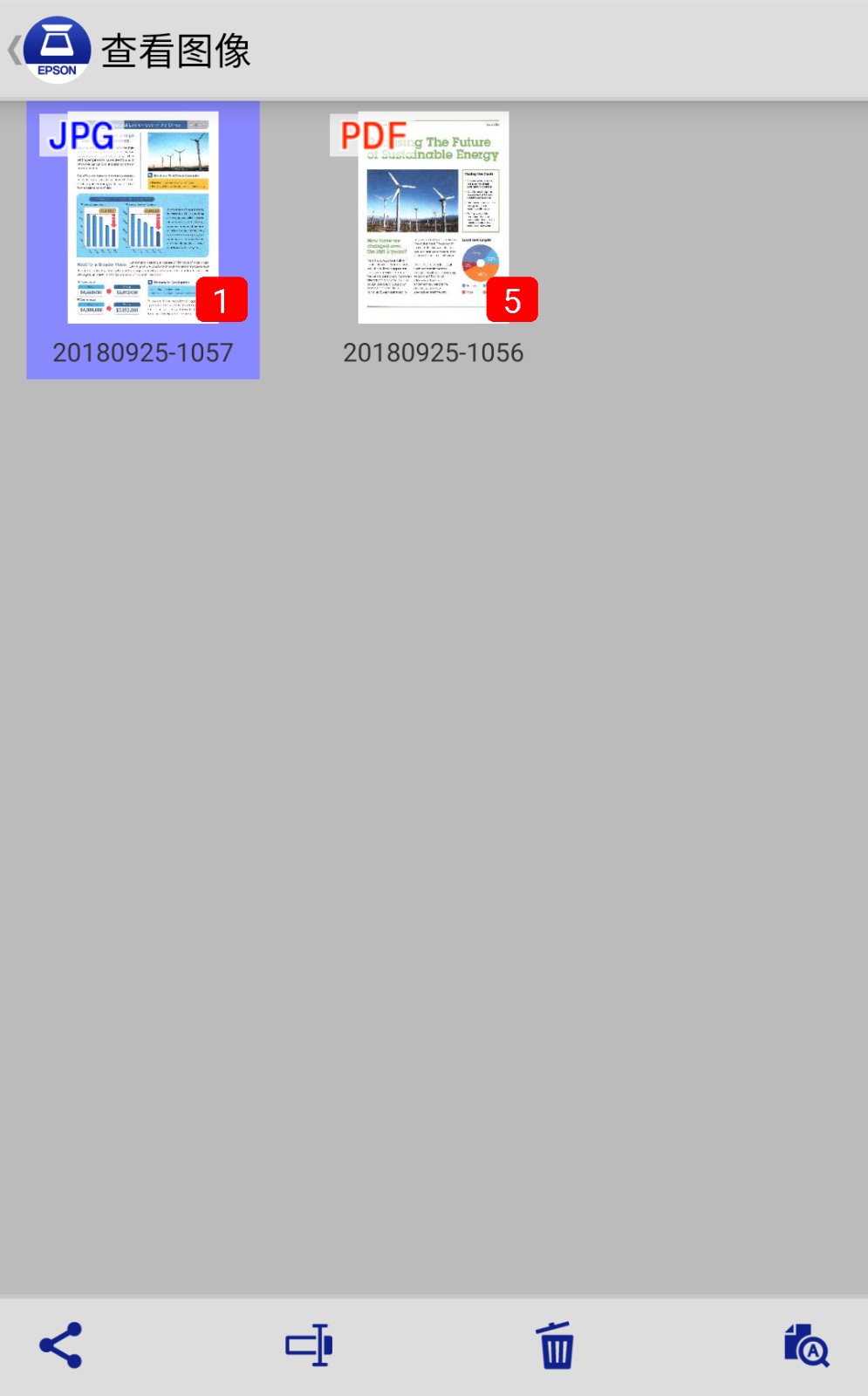 Epson DocumentScan(5)
