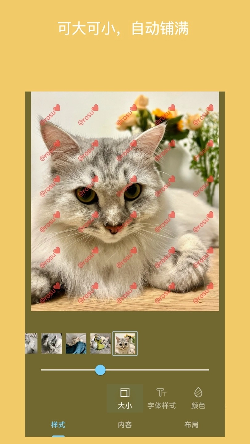 Easy Watermark免费原版图4