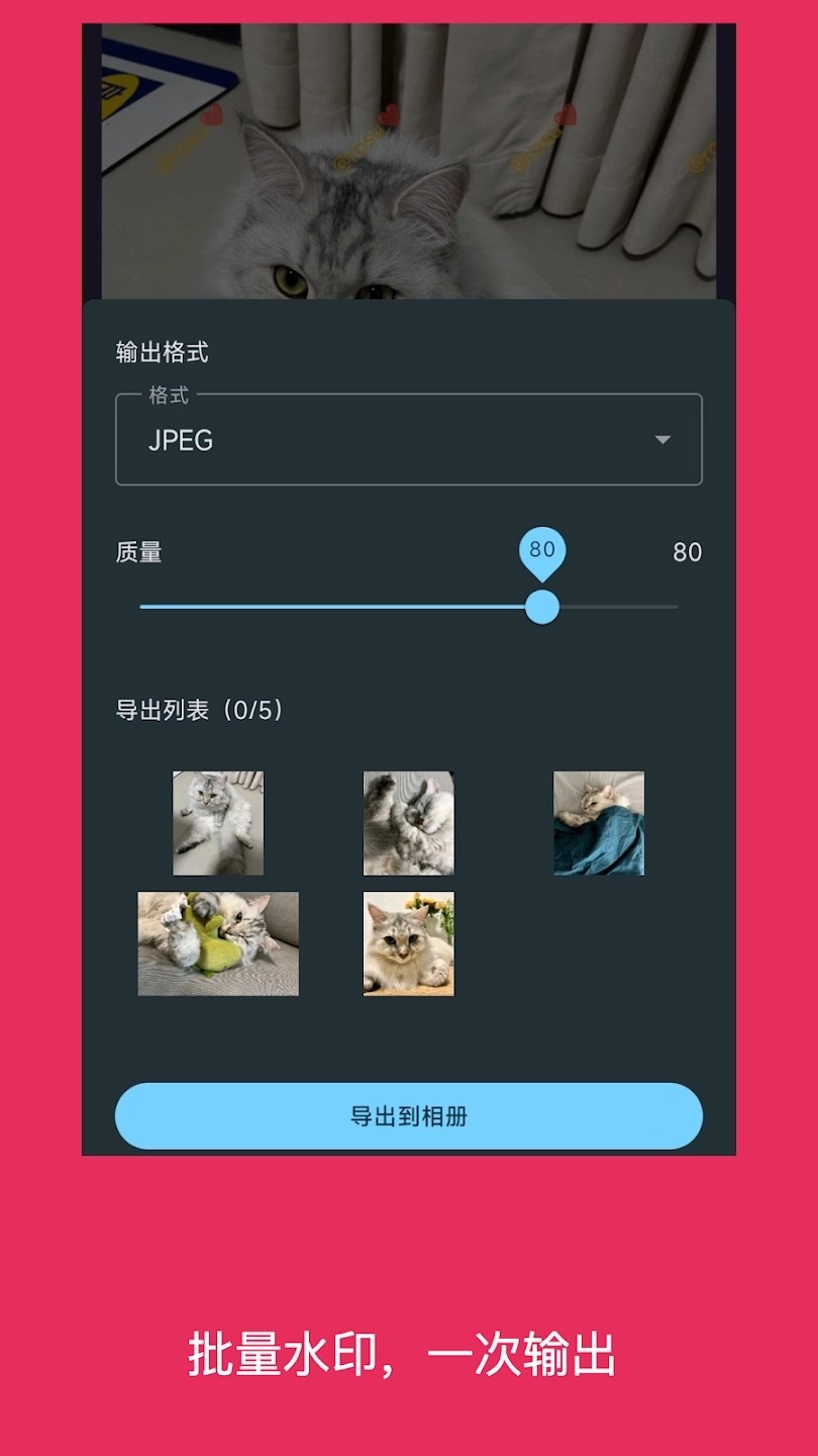 Easy Watermark免费原版图1