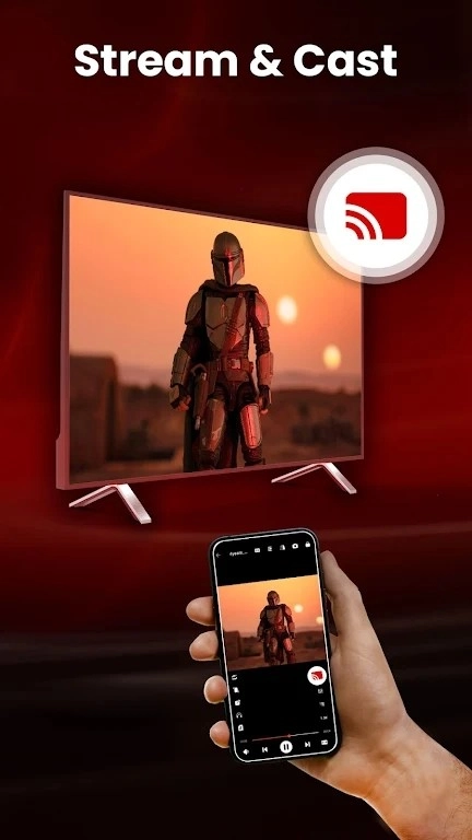 LM videodownloader安卓直装版图1