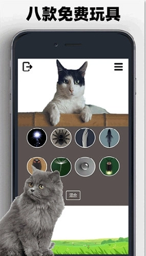猫狗玩具模拟器正式版下载