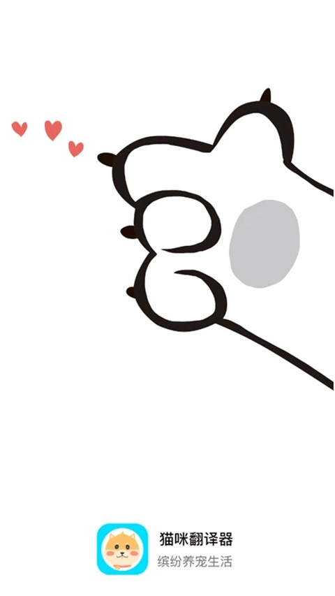 猫咪翻译器图3