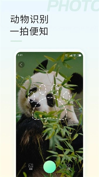 智能拍照识物官方最新版图2