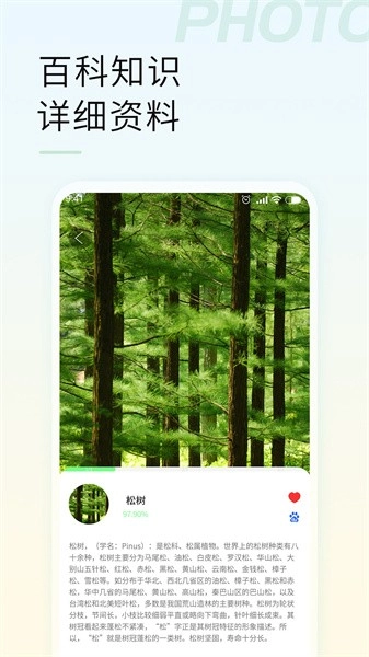 智能拍照识物官方最新版图4