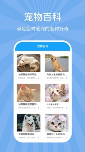 狗猫翻译器免费版下载