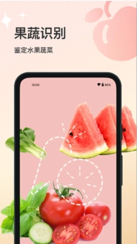 花卉识别安装下载