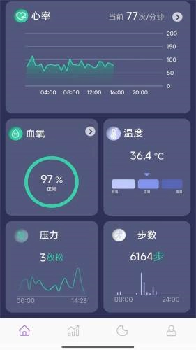 ChipletRing直装版图3