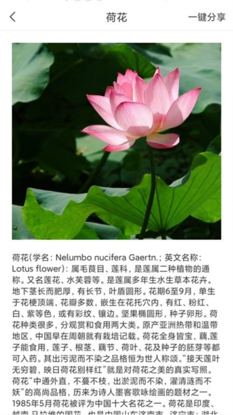 拍照识物全能王最新版