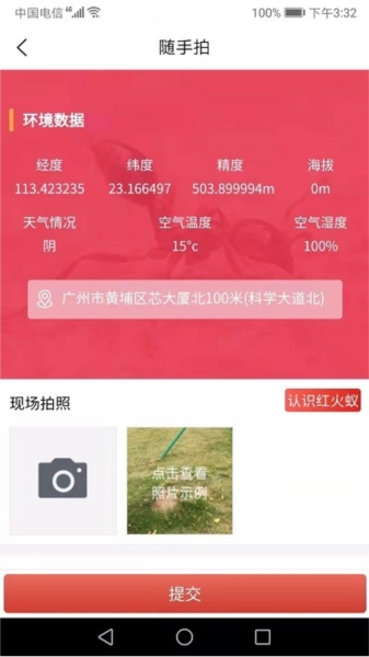 红火蚁正版图4