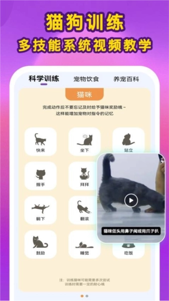 啵啵猫狗语音安卓官方版图3