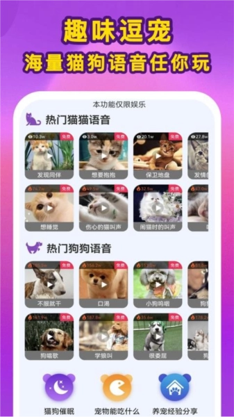 啵啵猫狗语音安卓官方版图4