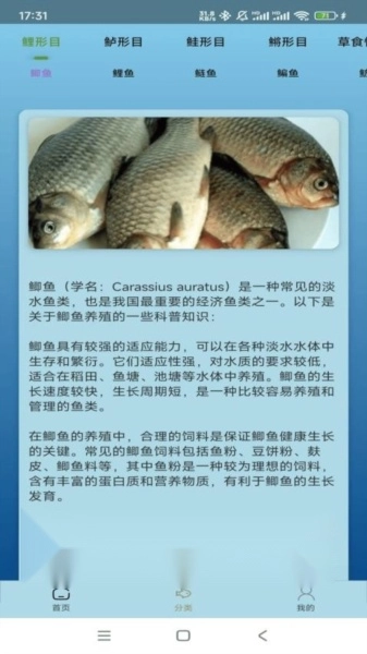 点点养殖(4)
