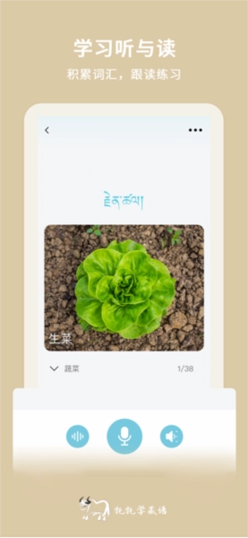 牦牦学藏语手机正版图3