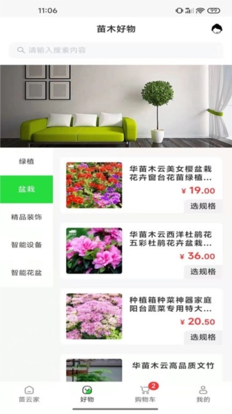 苗云卉图3