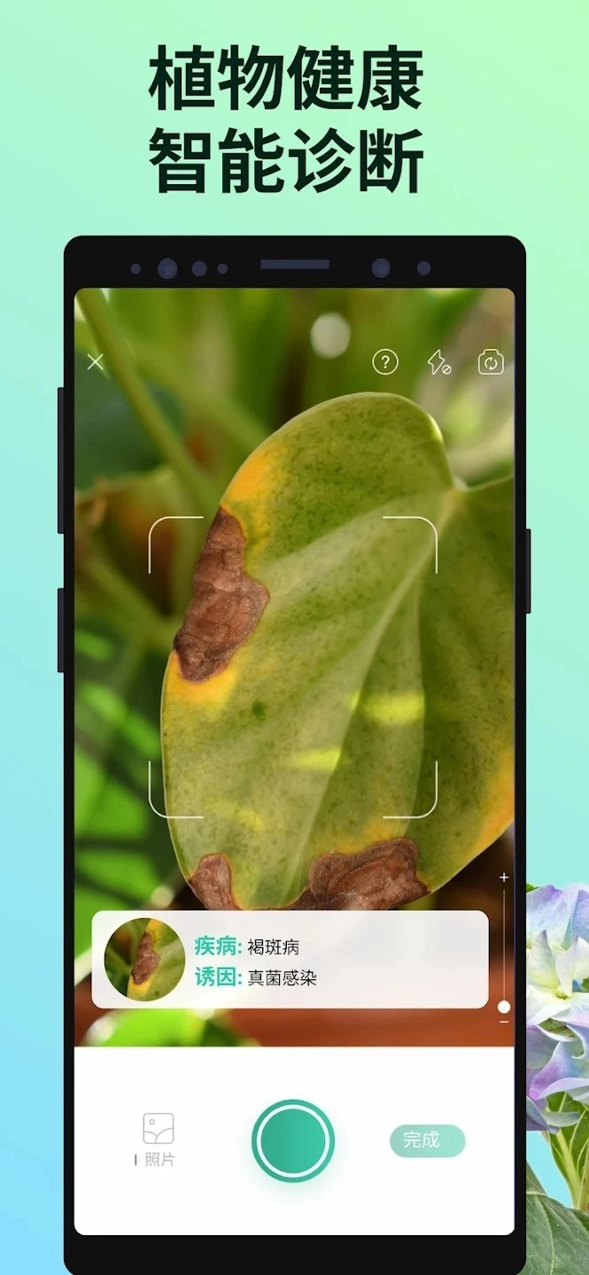 PictureThis安卓官方版图3