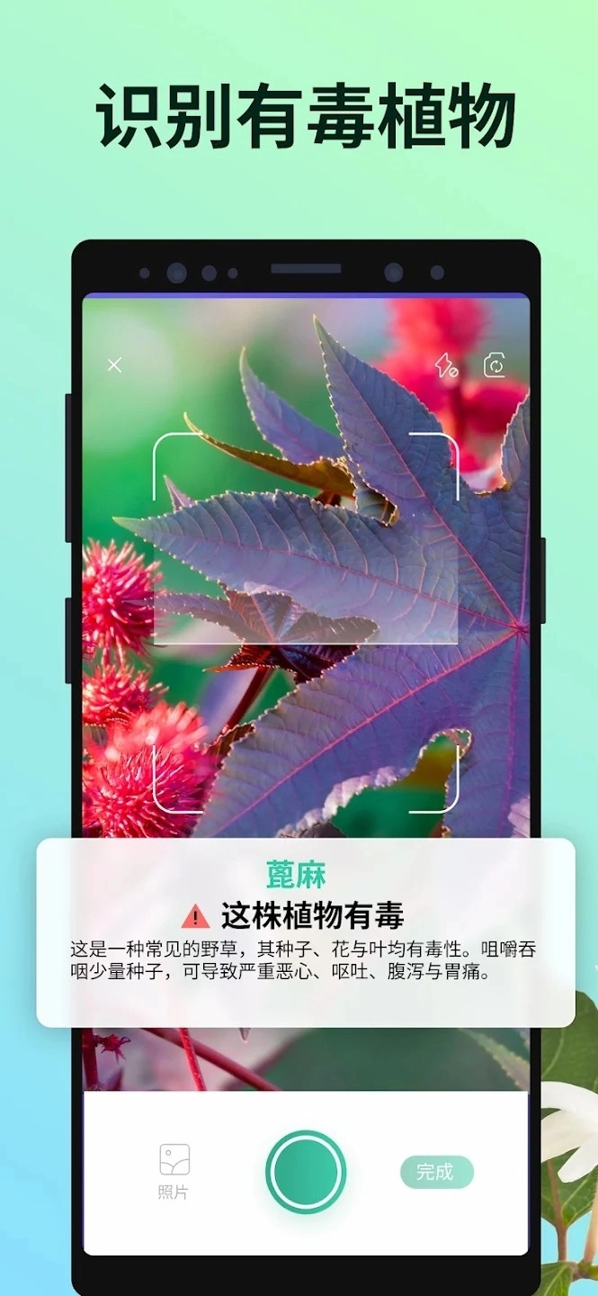 PictureThis安卓官方版图2