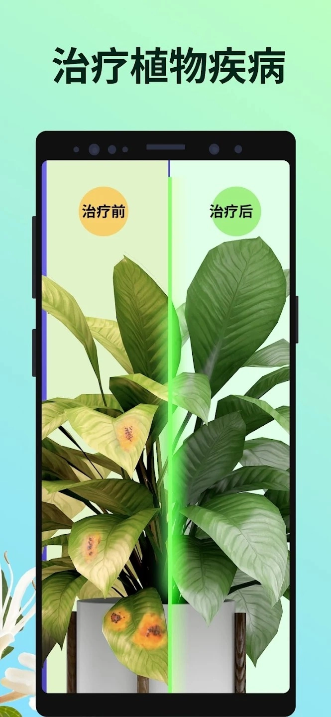 PictureThis安卓官方版图1