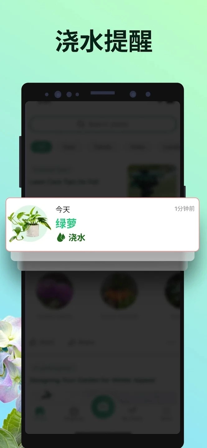 PictureThis安卓官方版图5