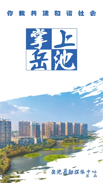 掌上岳池安卓直装版图3