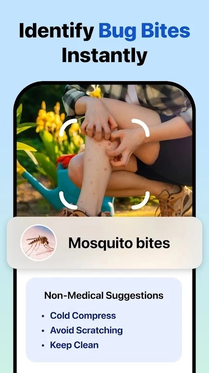 Picture Insect手机免费版图4