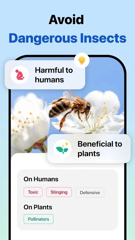 Picture Insect手机免费版图3