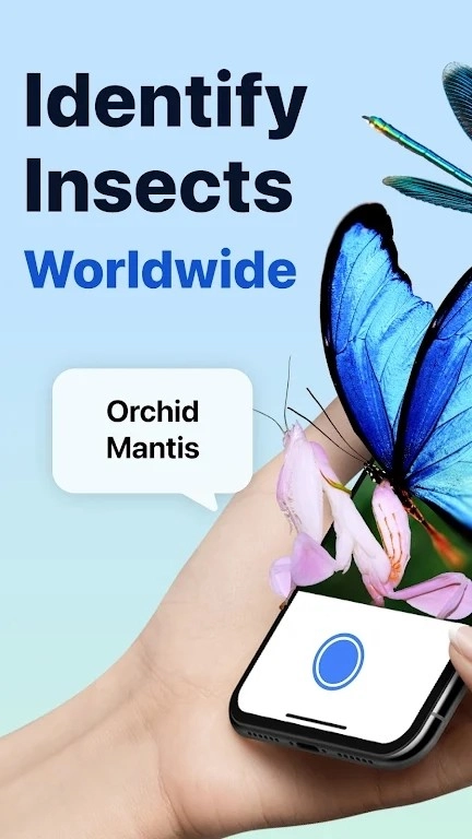 Picture Insect手机免费版图1