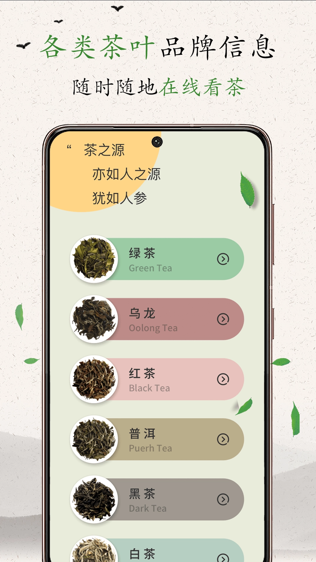 茶艺大师图2
