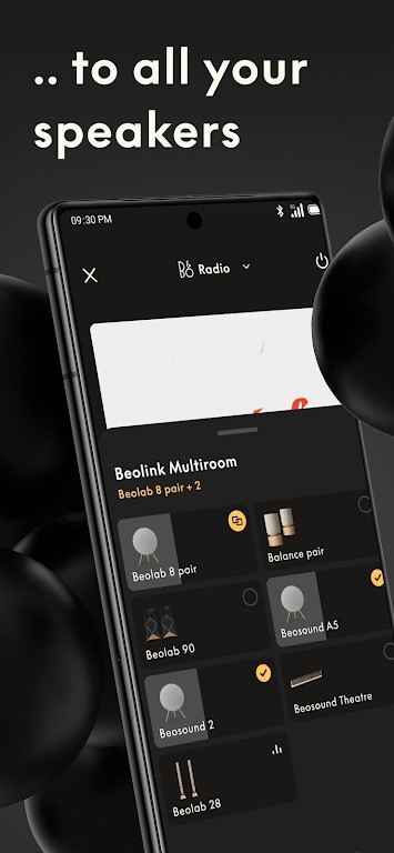 Bang Olufsen音响APP图2