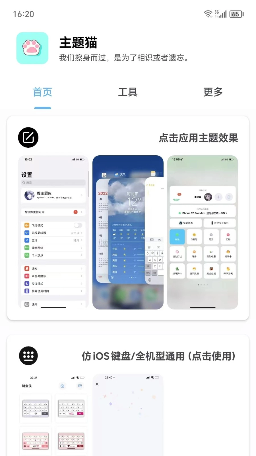 主题猫手机正版图4