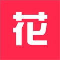 花火壁纸高清4k正版