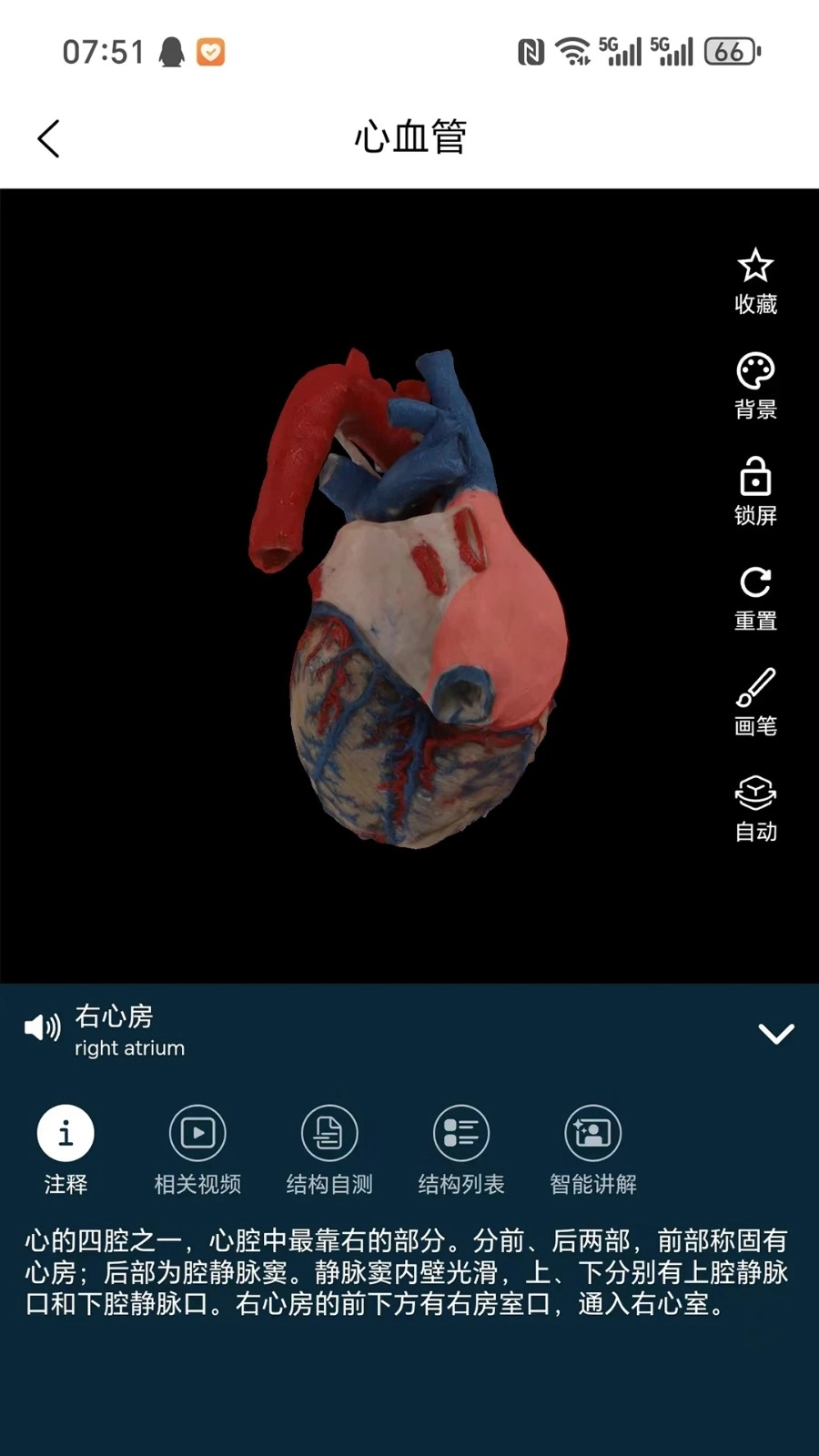 云解剖最新版图2