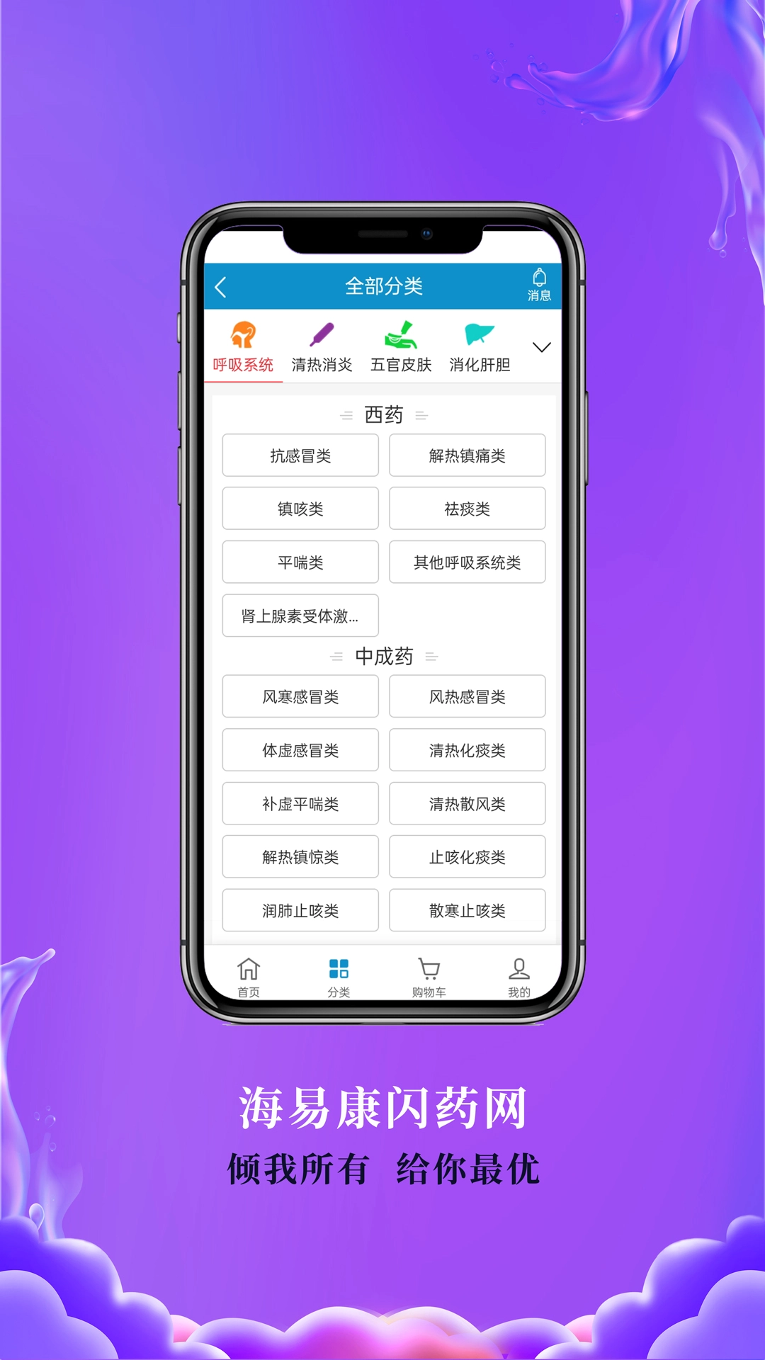 海易康闪药网本直装版图1