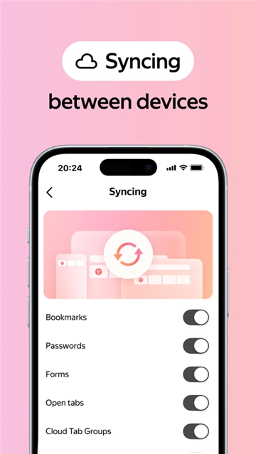 yandex俄罗斯引擎手机正版图5